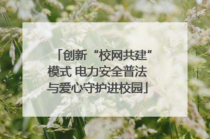 创新“校网共建”模式 电力安全普法与爱心守护进校园