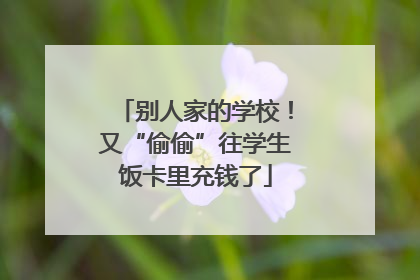 别人家的学校！又“偷偷”往学生饭卡里充钱了