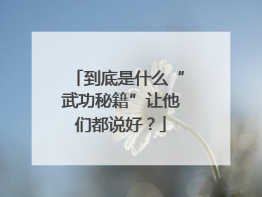 到底是什么“武功秘籍”让他们都说好？