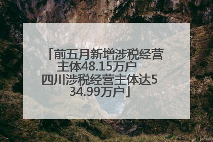 前五月新增涉税经营主体48.15万户 四川涉税经营主体达534.99万户