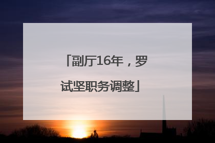 副厅16年，罗试坚职务调整