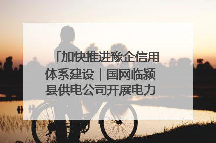 加快推进豫企信用体系建设｜国网临颍县供电公司开展电力行业信用企业现场咨询访谈工作