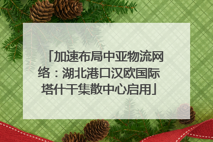 加速布局中亚物流网络：湖北港口汉欧国际塔什干集散中心启用