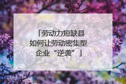 劳动力短缺县 如何让劳动密集型企业“逆袭”
