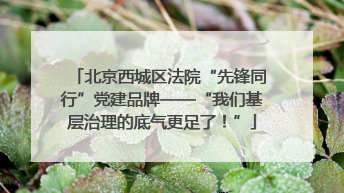北京西城区法院“先锋同行”党建品牌——“我们基层治理的底气更足了！”