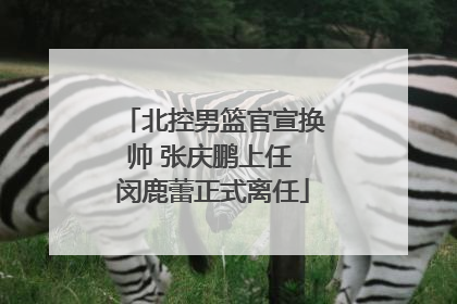 北控男篮官宣换帅 张庆鹏上任 闵鹿蕾正式离任