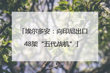 埃尔多安：向印尼出口48架“五代战机”