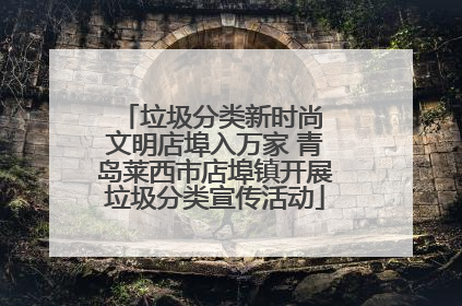 垃圾分类新时尚 文明店埠入万家 青岛莱西市店埠镇开展垃圾分类宣传活动