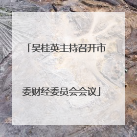 吴桂英主持召开市委财经委员会会议