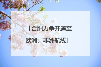 合肥力争开通至欧洲、非洲航线