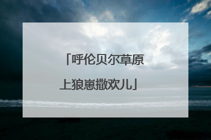 呼伦贝尔草原上狼崽撒欢儿