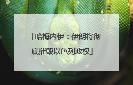 哈梅内伊：伊朗将彻底摧毁以色列政权
