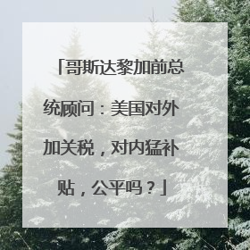 哥斯达黎加前总统顾问：美国对外加关税，对内猛补贴，公平吗？