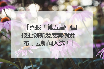 喜报！第五届中国报业创新发展案例发布，云新闻入选！