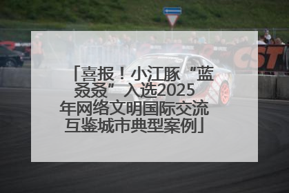 喜报！小江豚“蓝叒叒”入选2025年网络文明国际交流互鉴城市典型案例