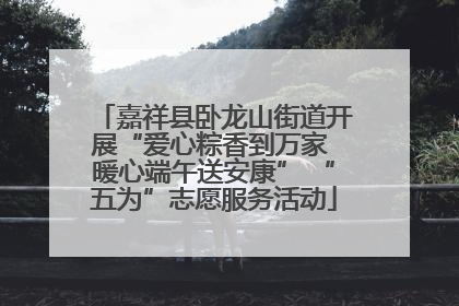 嘉祥县卧龙山街道开展“爱心粽香到万家 暖心端午送安康” “五为”志愿服务活动