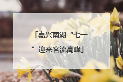 嘉兴南湖“七一”迎来客流高峰