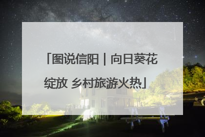 图说信阳｜向日葵花绽放 乡村旅游火热