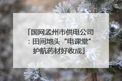 国网孟州市供电公司：田间地头“电课堂”  护航药材好收成