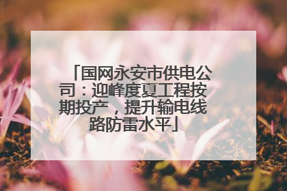 国网永安市供电公司：迎峰度夏工程按期投产，提升输电线路防雷水平