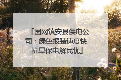 国网镇安县供电公司：绿色报装速度快 抗旱保电解民忧
