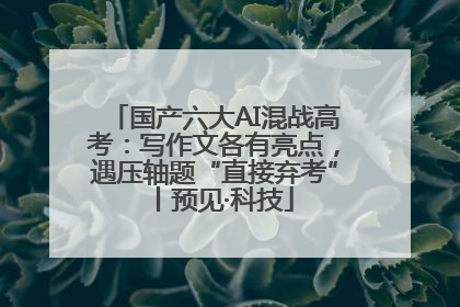 国产六大AI混战高考：写作文各有亮点，遇压轴题“直接弃考”丨预见·科技