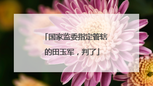 国家监委指定管辖的田玉军，判了