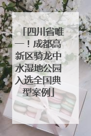四川省唯一！成都高新区骑龙中水湿地公园入选全国典型案例