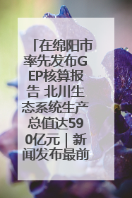 在绵阳市率先发布GEP核算报告 北川生态系统生产总值达590亿元｜新闻发布最前线