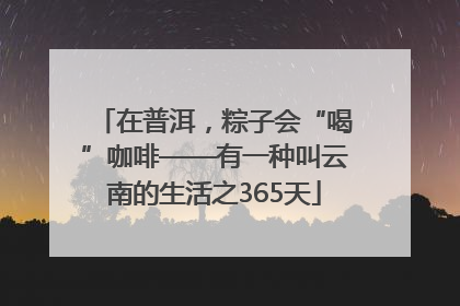 在普洱，粽子会“喝”咖啡——有一种叫云南的生活之365天