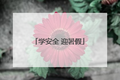 学安全 迎暑假