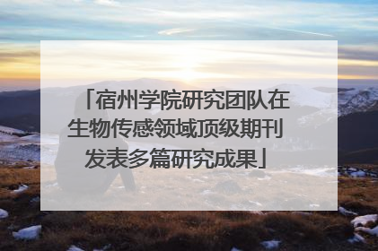宿州学院研究团队在生物传感领域顶级期刊发表多篇研究成果