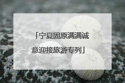 宁夏固原满满诚意迎接旅游专列