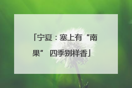 宁夏：塞上有“南果” 四季别样香