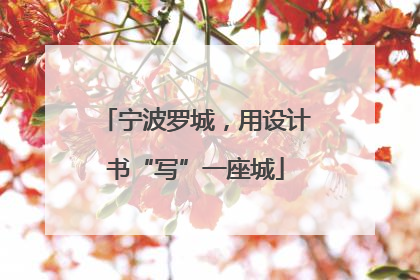 宁波罗城，用设计书“写”一座城