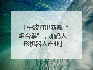 宁波打出新政“组合拳”，加码人形机器人产业