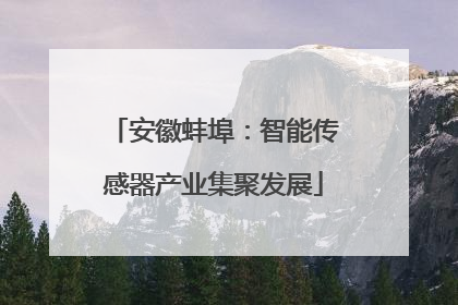 安徽蚌埠：智能传感器产业集聚发展