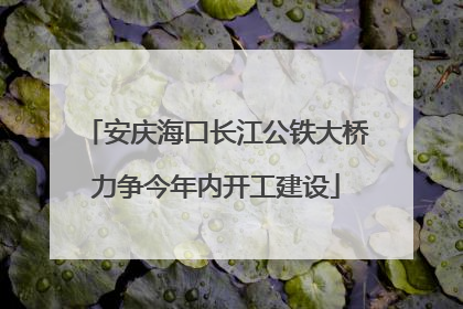 安庆海口长江公铁大桥力争今年内开工建设