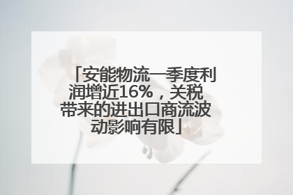 安能物流一季度利润增近16%，关税带来的进出口商流波动影响有限