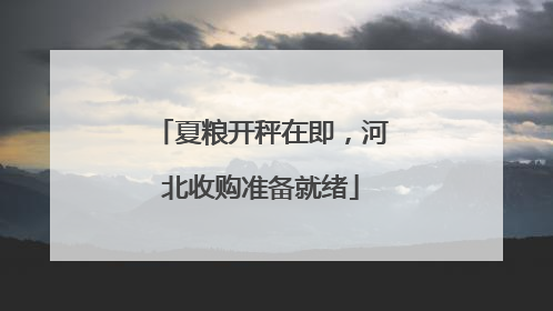 夏粮开秤在即，河北收购准备就绪