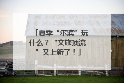 夏季“尔滨”玩什么？“文旅顶流”又上新了！