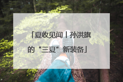 夏收见闻丨孙洪旗的“三夏”新装备
