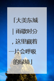 大美东城｜雨歇时分，这里藏着一片会呼吸的绿境