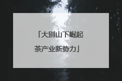 大别山下崛起茶产业新势力