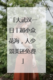 大武汉一日丨超小众花海，人少景美还免费
