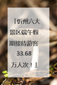 忻州六大景区端午假期接待游客33.68万人次！