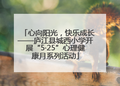 心向阳光，快乐成长——庐江县城西小学开展“5·25”心理健康月系列活动