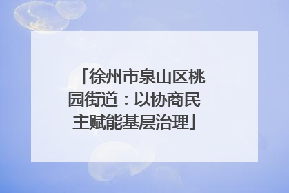 徐州市泉山区桃园街道：以协商民主赋能基层治理