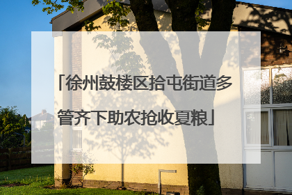 徐州鼓楼区拾屯街道多管齐下助农抢收夏粮