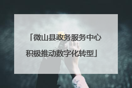 微山县政务服务中心积极推动数字化转型